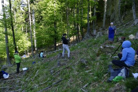 Od Gvavske peči do Zalipja (5)